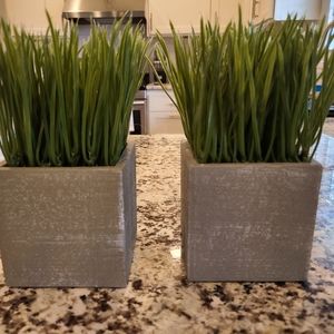 (2) Gray Faux Greenery Boxes